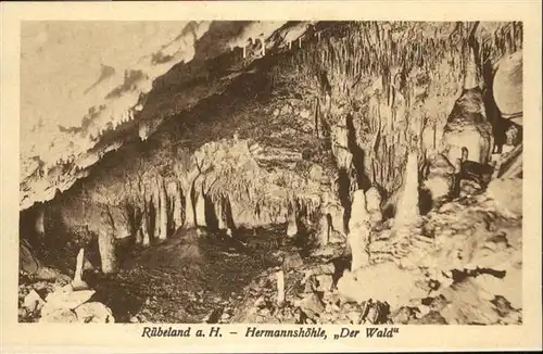 Hoehlen Caves Grottes Ruebeland Hermannshoehle Wald Tropfstein  / Berge /