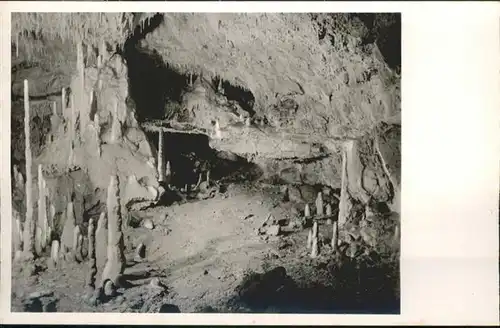 Hoehlen Caves Grottes Tropfstein Baerenhoehle Karlshoehle / Berge /