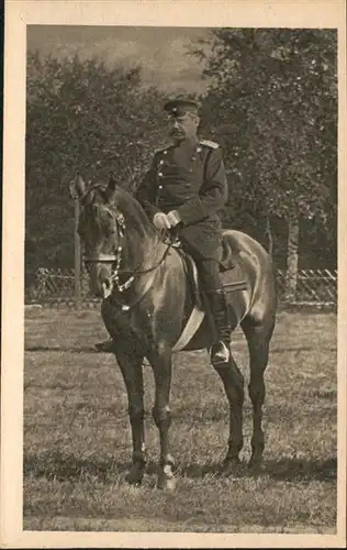 Hindenburg Pferd Oberst Kommandeur Infanterie Regiment Nr 91 1894 / Persoenlichkeiten /