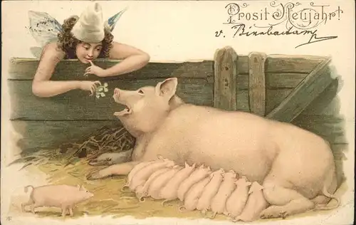Schweine Elfe Fee Neujahr Kat. Tiere