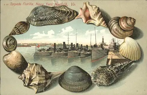 Muschelkarte Torpedo Flotilla Navy Yard Norfolk Va.  / Rahmenkarte /