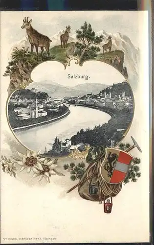 Rucksackkarte Salzburg Steinbock Wappen Edelweiss / Rahmenkarte /