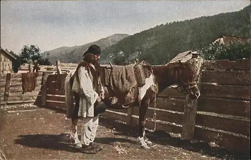 Balkan Hadzule Nr 8 Pferd Kat. 