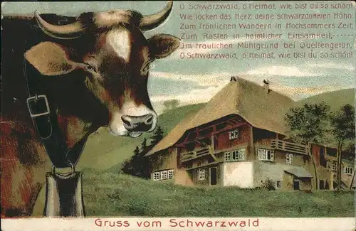 Schwarzwald Kuh Kat. 