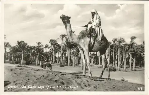 Kamele Oasis of Libian Desert Kat. 