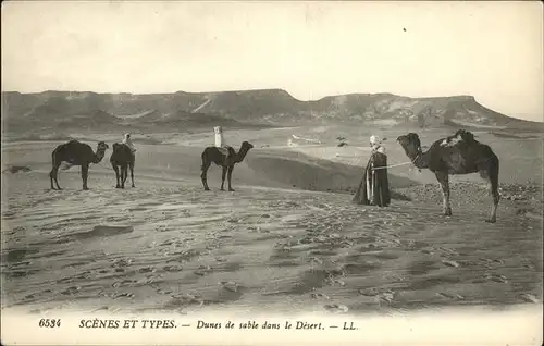 Kamele Dunes Kat. 