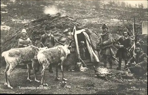 Renntier Lappefamilie