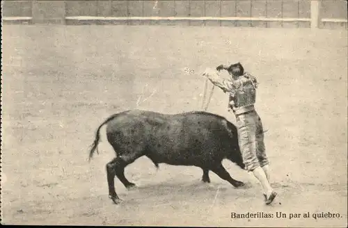 Stierkampf Banderillas