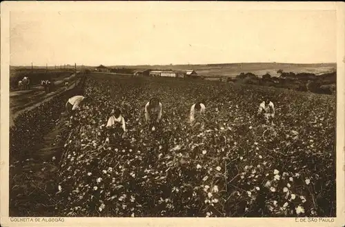 Landwirtschaft Baumwollpfluecker Kat. Landwirtschaft