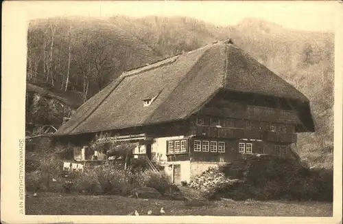 Schwarzwald Haus Kat. Regionales