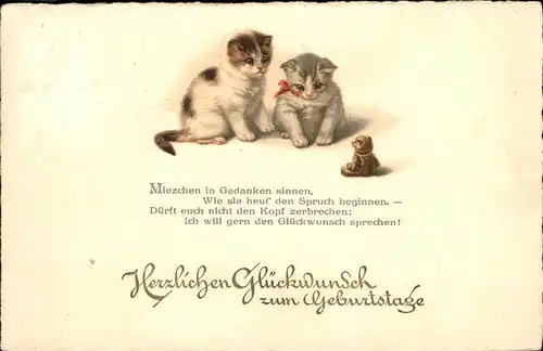 Geburtstag Katzen Kat. Greetings