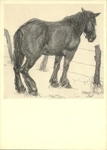 Kuenstlerkarte Hildegard Ebeling Pferd Kat. Kuenstlerkarten