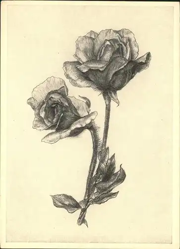 Hildegard Ebeling Rose