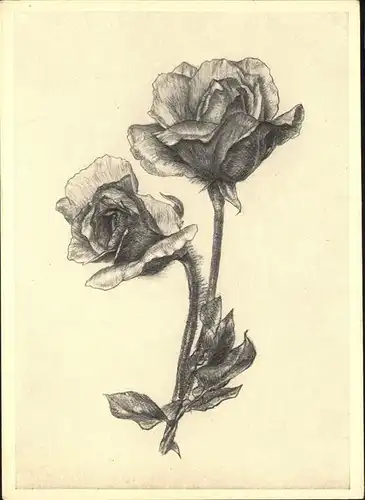 Hildegard Ebeling Rose