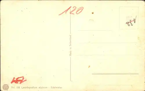 Edelweiss Kuenstlerkarte No 194 Kat. Pflanzen