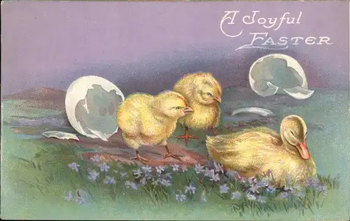 Enten Ostern Kueken USA Kat. Tiere