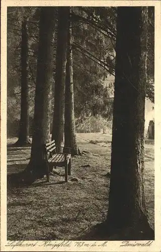 Baeume Trees Koenigsfeld Doniswald Kat. Pflanzen