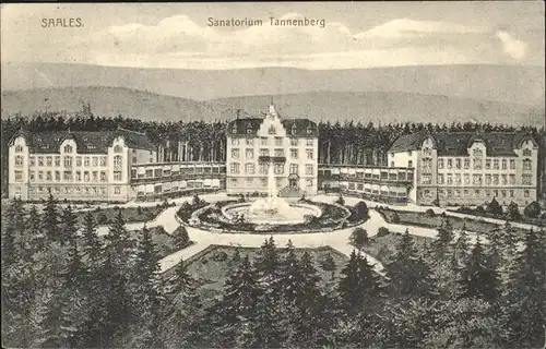 Saales Sanatoruim Tannenberg Kat. Saales