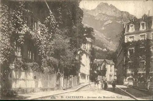 Cauterets Avenue du Mamelon Vert / Cauterets /Arrond. d Argeles-Gazost