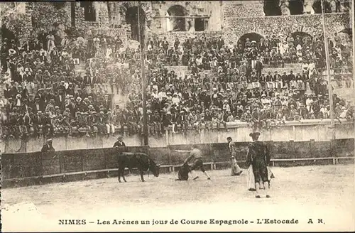 Nimes Arenes Stier