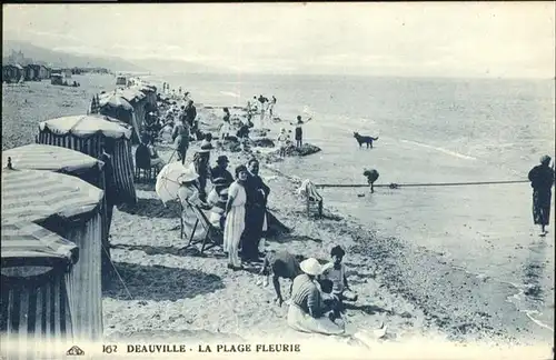 Deauville Plage Fleurie Hund