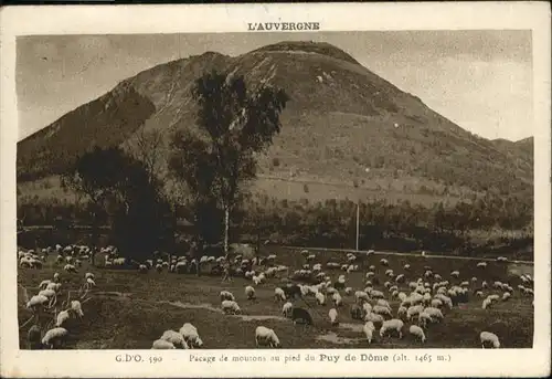 Puy-de-Dome Pacage de moutons
Auvergne / Neuville /Arrond. de Clermont-Ferrand