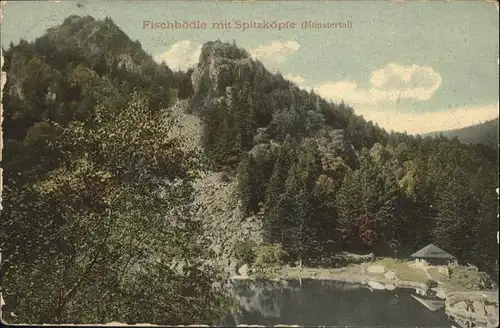 Altenberg Elsass Fischboedle mit Spitzkoepfe (Muenstertal) / Bergheim /Arrond. de Ribeauville