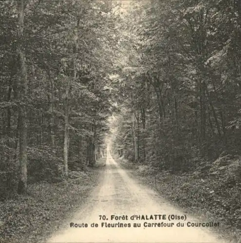 Verneuil-en-Halatte Verneuil-en-Halatte Foret Route Fleurines Carrefour Courcollet * / Verneuil-en-Halatte /Arrond. de Senlis