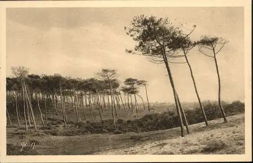 Landes Landes  * / Landes /Arrond. de Saint-Jean-d Angely