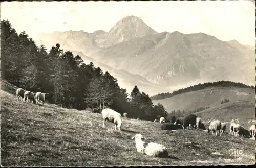 Aspin-Aure Aspin-Aure  x / Aspin-Aure /Arrond. de Bagneres-de-Bigorre