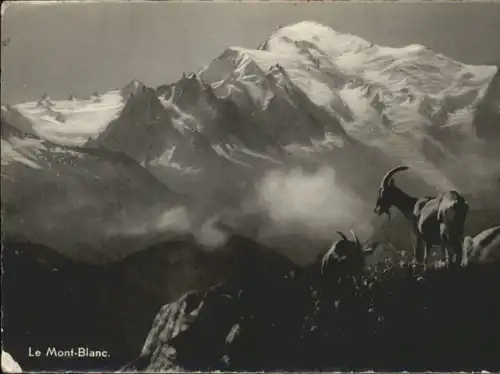 Mont Blanc Mont Blanc  * / Chamonix-Mont-Blanc /Arrond. de Bonneville