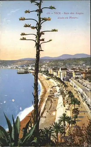 hw05874 Nice Alpes Maritimes Baie des Anges Kategorie. Nice Alte Ansichtskarten