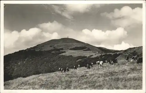 Grand Ballon Hautes Vosges Kat. Guebwiller