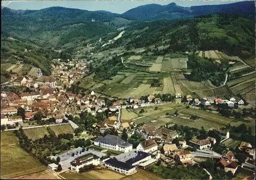 Andlau Panorama Kat. Andlau