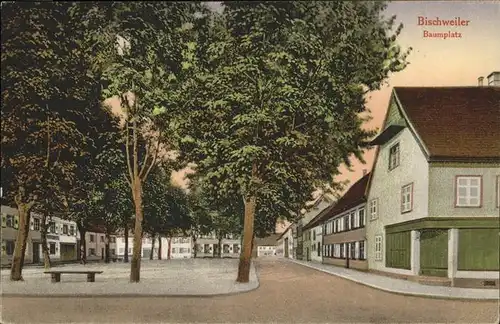 Bischweiler Baumplatz Kat. Bischwiller