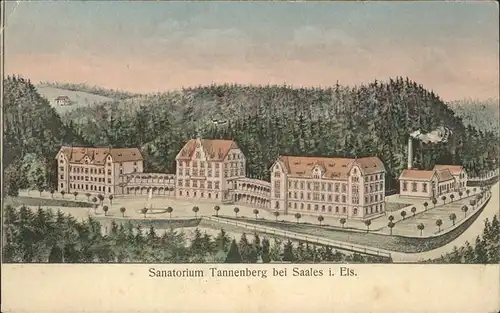 Saales Sanatorium Tannenberg Kat. Saales