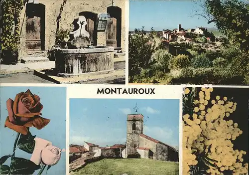 Montauroux Rose Brunnen Kat. Montauroux