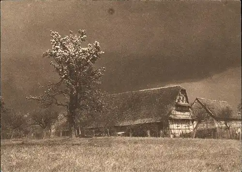 Pfettisheim Bauernhof im Kochersberg Kat. Pfettisheim