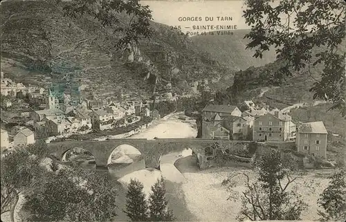 Gorges du Tarn Sainte Enime Pont et la Vallee Kat. Le Rozier