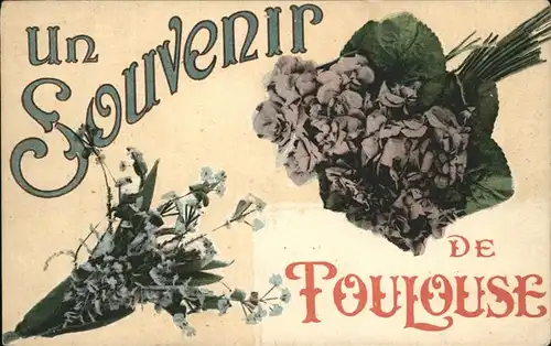 Toulouse Haute-Garonne Blumen