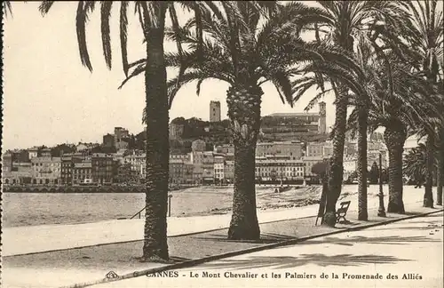 Cannes Alpes-Maritimes Chevalier Palmiers Promenade des Allies Kat. Cannes