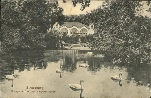 kk12572 Strassburg Elsass Orangerie See und Hauptrestaurant Schwan Feldpost Kategorie. Strasbourg Alte Ansichtskarten