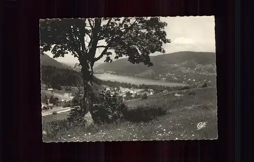 kk12583 Gerardmer Vosges Panorama avec le lac Kategorie. Gerardmer Alte Ansichtskarten