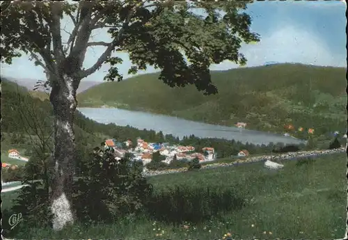 kk12593 Gerardmer Vosges Panorama avec le lac Kategorie. Gerardmer Alte Ansichtskarten