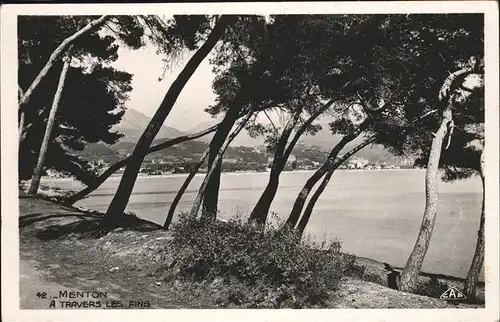 Menton Alpes Maritimes A travers les pins au bord de la mer