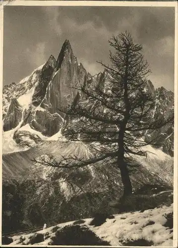 Chamonix Haute Savoie Aiguille du Dru Kat. Chamonix Mont Blanc