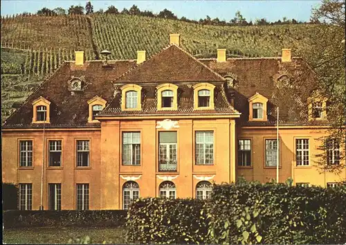 Radebeul Schloss Wackerbarth Kat. Radebeul