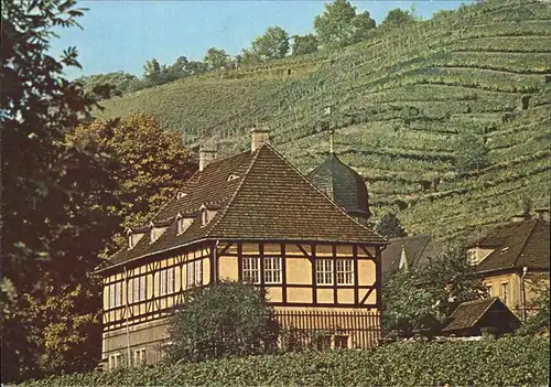 Radebeul Schloss Hofloessnitz Kat. Radebeul