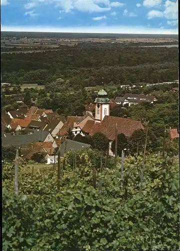 Bad Bellingen Thermalkurort Weinreben Kat. Bad Bellingen