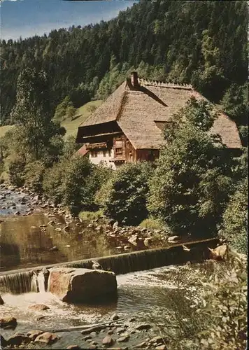 Gutach Schwarzwald Bauernhof am Bach  Kat. Gutach